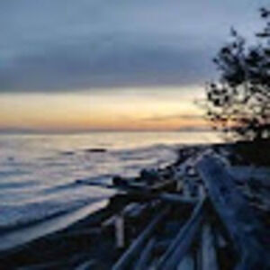 Meet your Posher, Taia